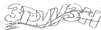 Check code